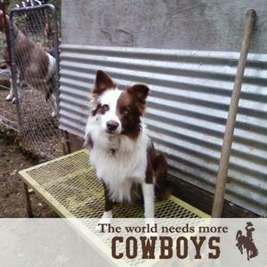 Meet your Posher, Audrey